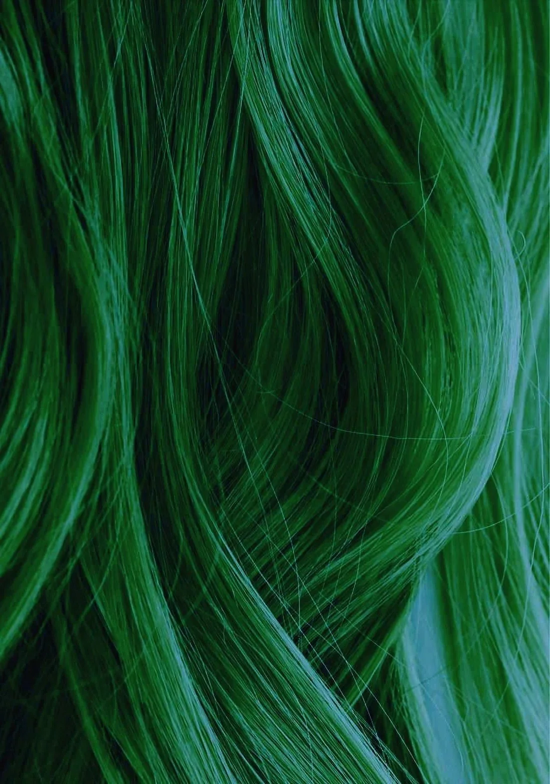 09412CAA-02AF-442E-8655-431E5D6FF637.jpeg