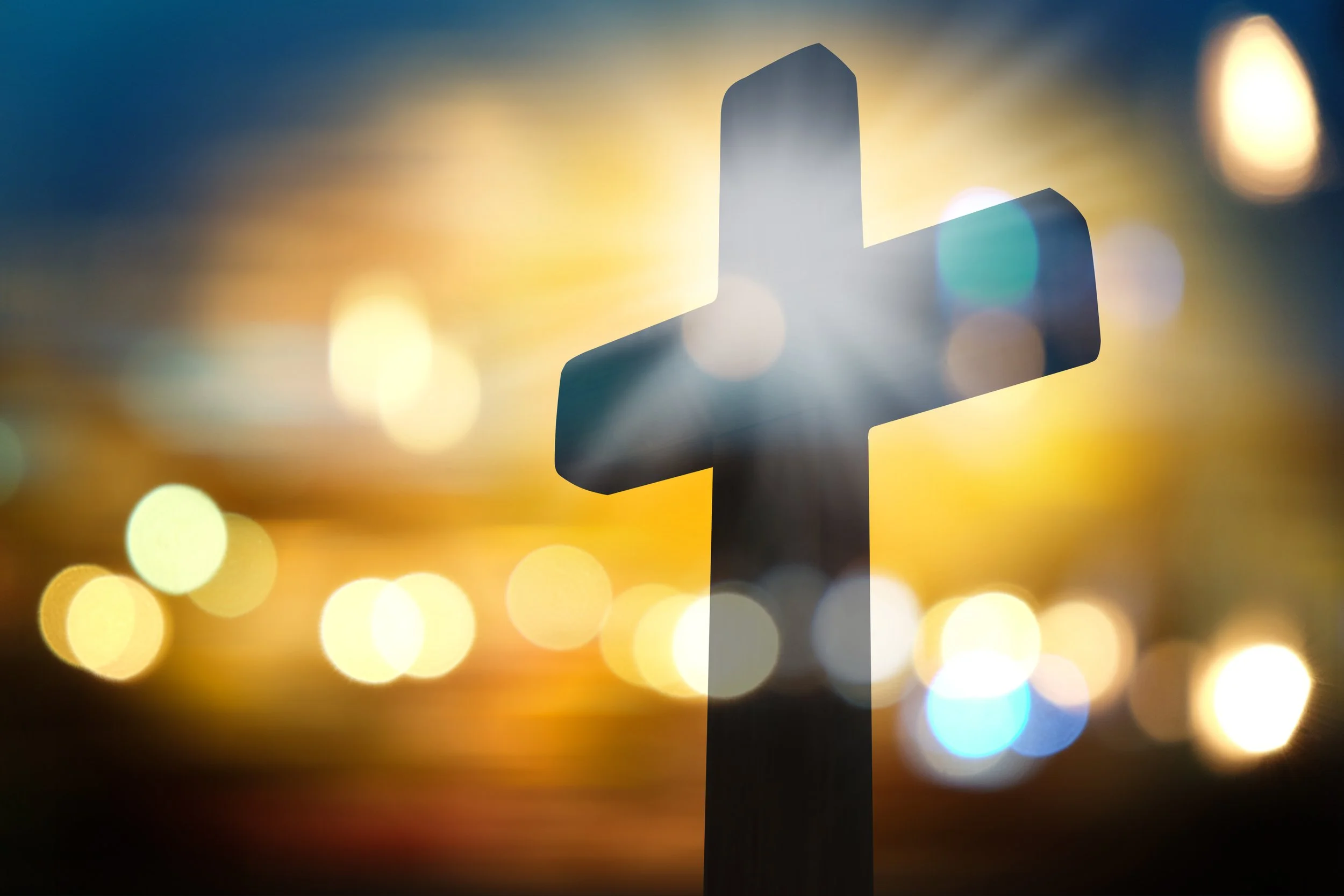 AdobeStock_215013914.jpeg