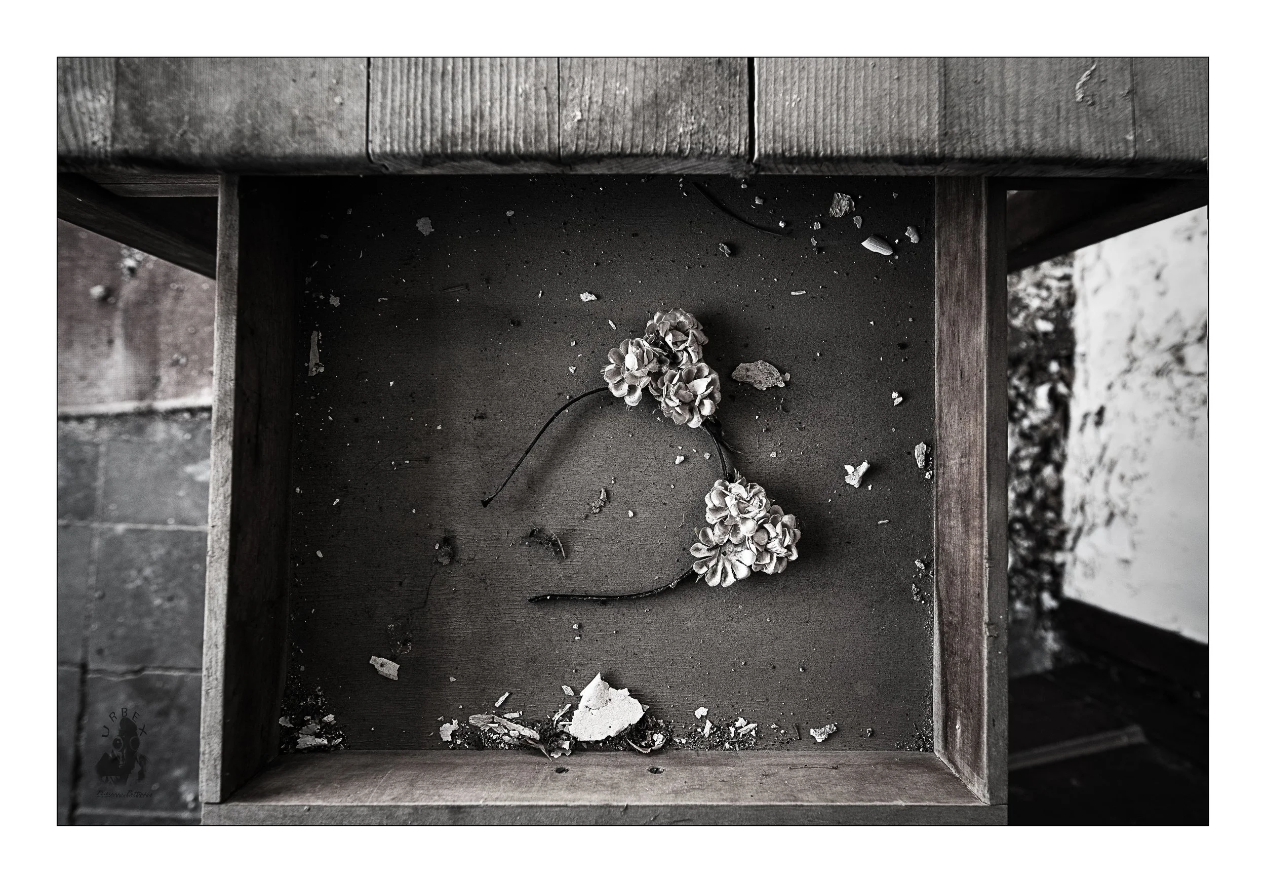 Floral Headband.

A floral headband rests inside an old drawer,
quietly collecting dust.

A simple trace of the life
that once filled this house.