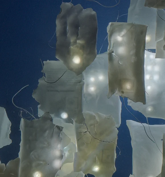 i, detail