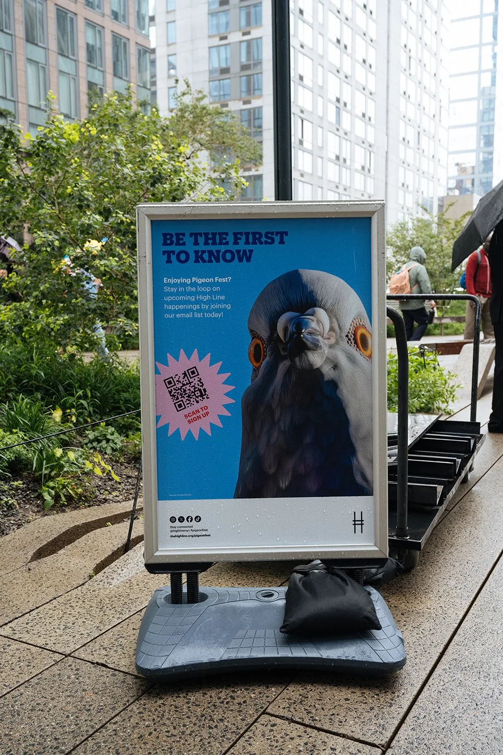 274_06_14_2025_PigeonFest_CharlieRubin_resized.jpg