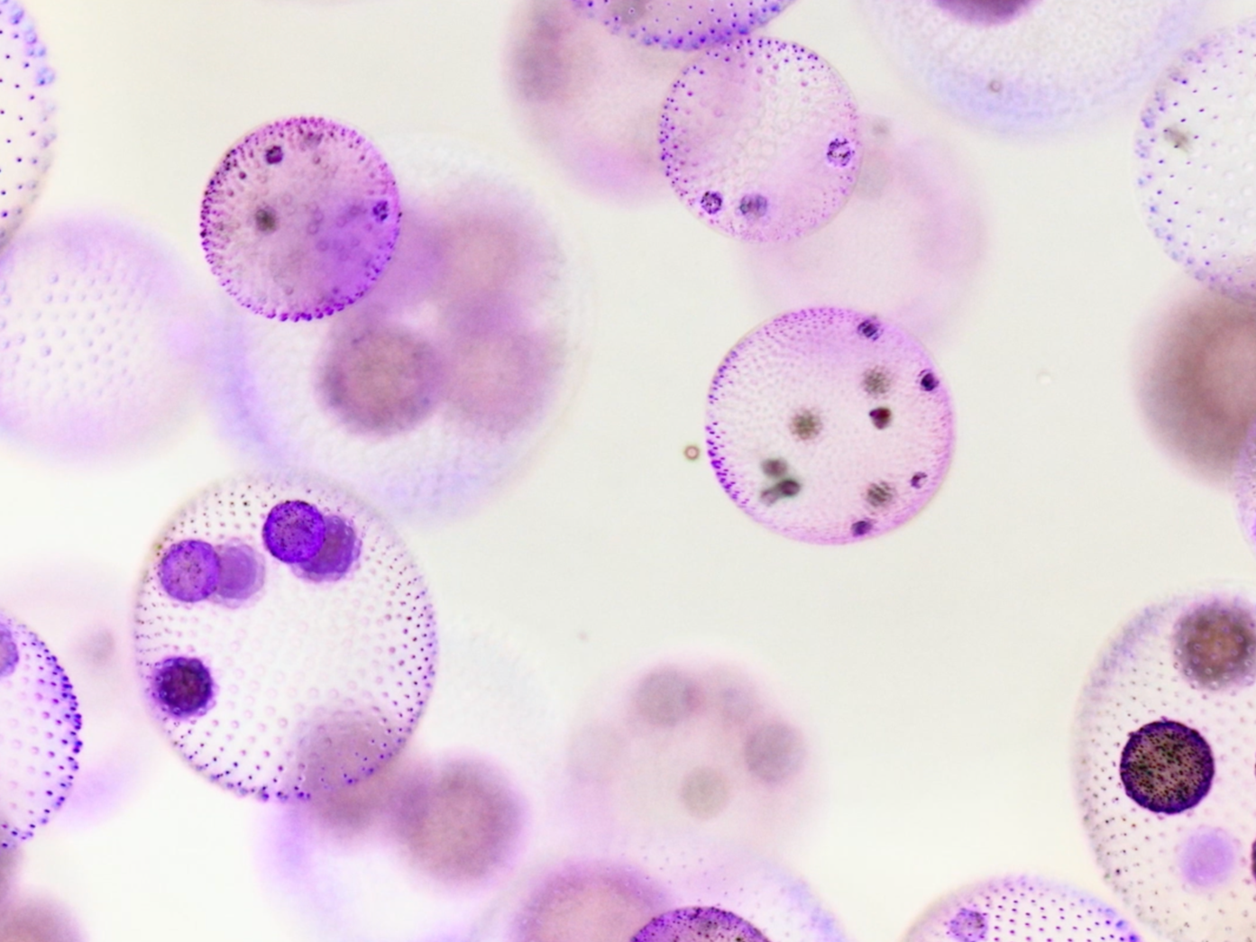 AWS - Founder Spotlight "Latent Labs"