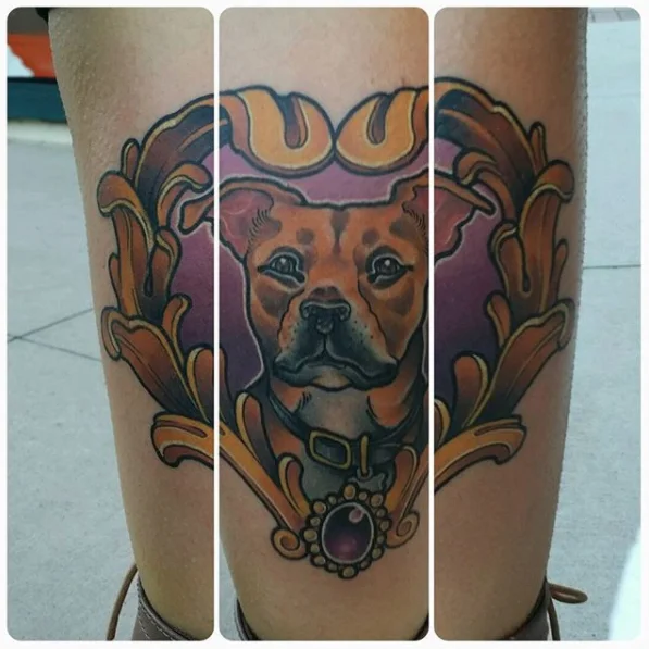 dog.jpg