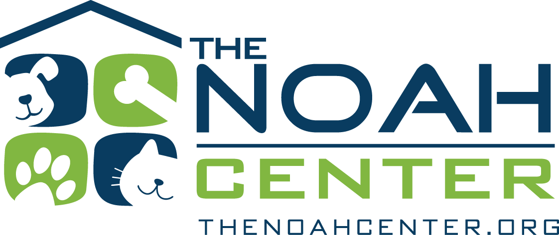 Noah center.png