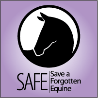 SAFE_logo_Icon.gif