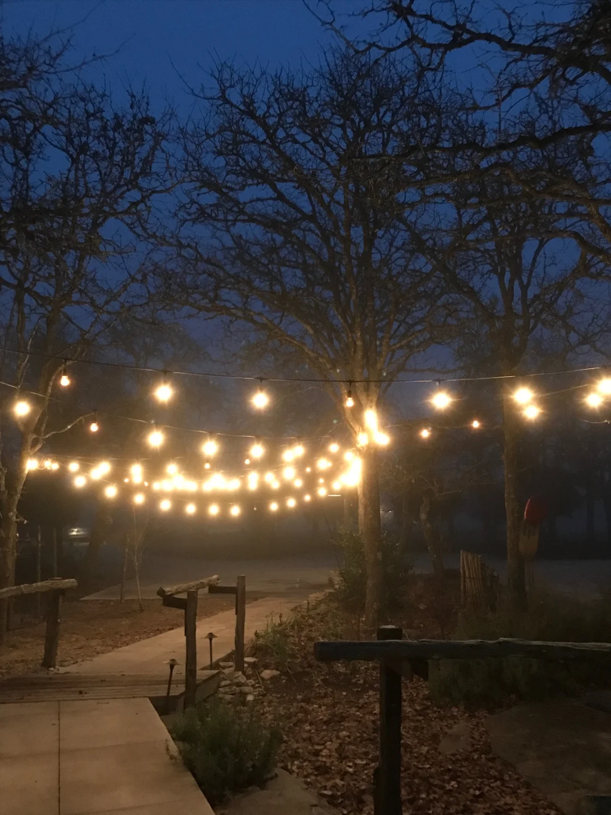 complete twinkle lights to light the way