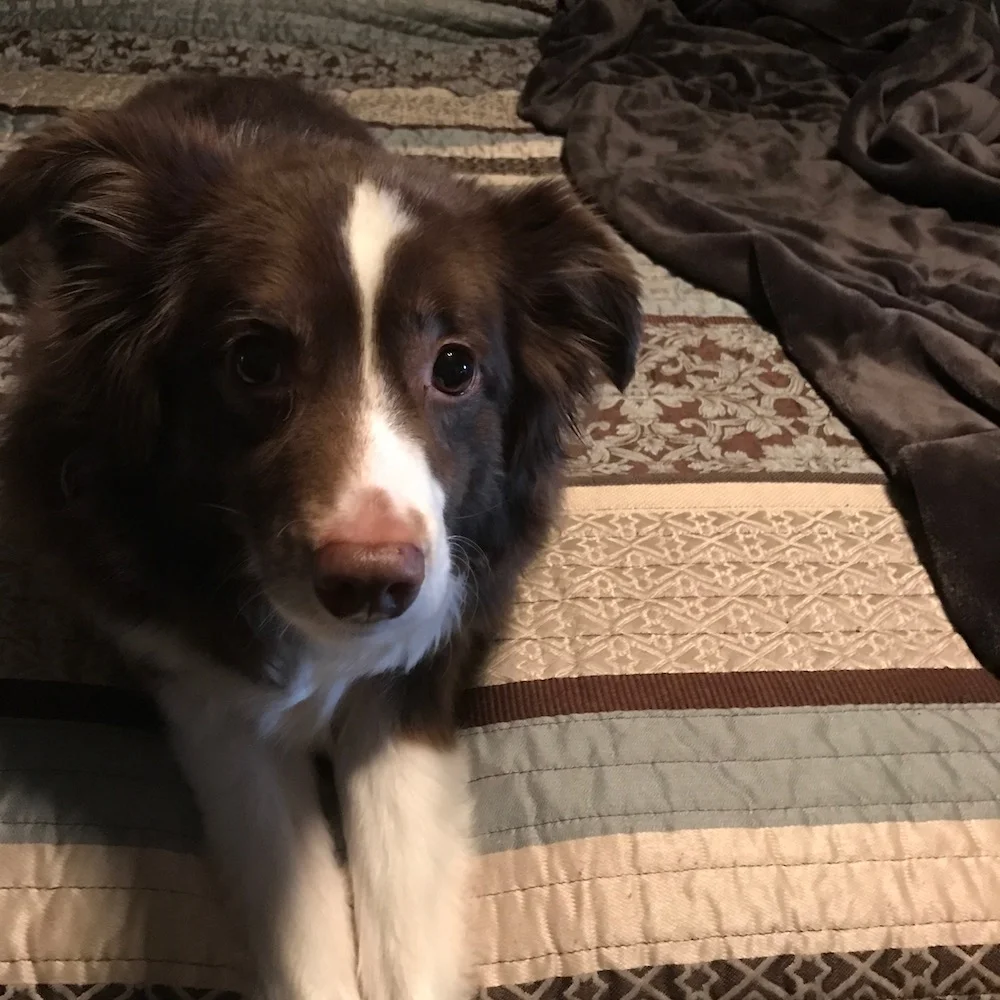 look at how handsome he is