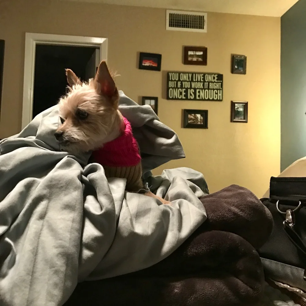 the secret to her heart is clean sheets