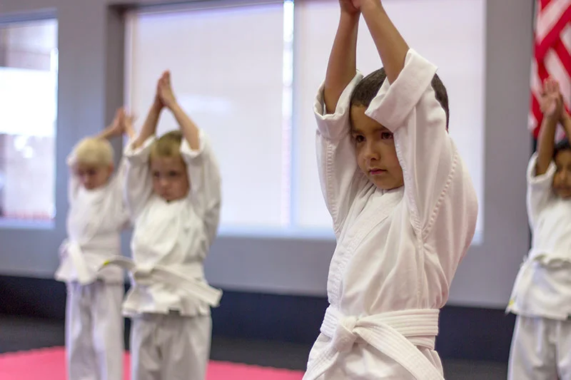 American Karate Ninjas Kids Karate Class