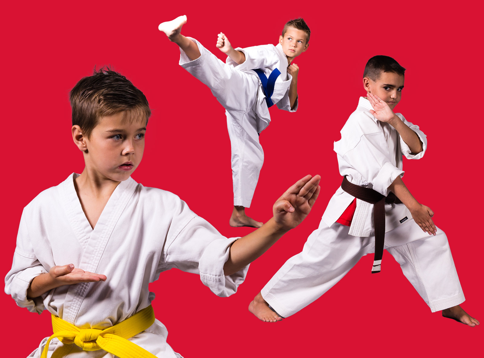 Intermediate and Advance students from the American Karate Youth Karate program.