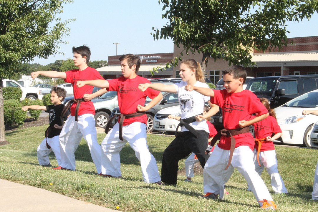 American Karate Summer Camp 2015