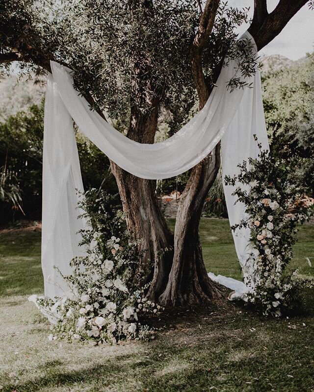 One of my all time favorite ceremony setups at @hummingbirdnestevents photographed by @christineflowerphotography #wildmusefloral