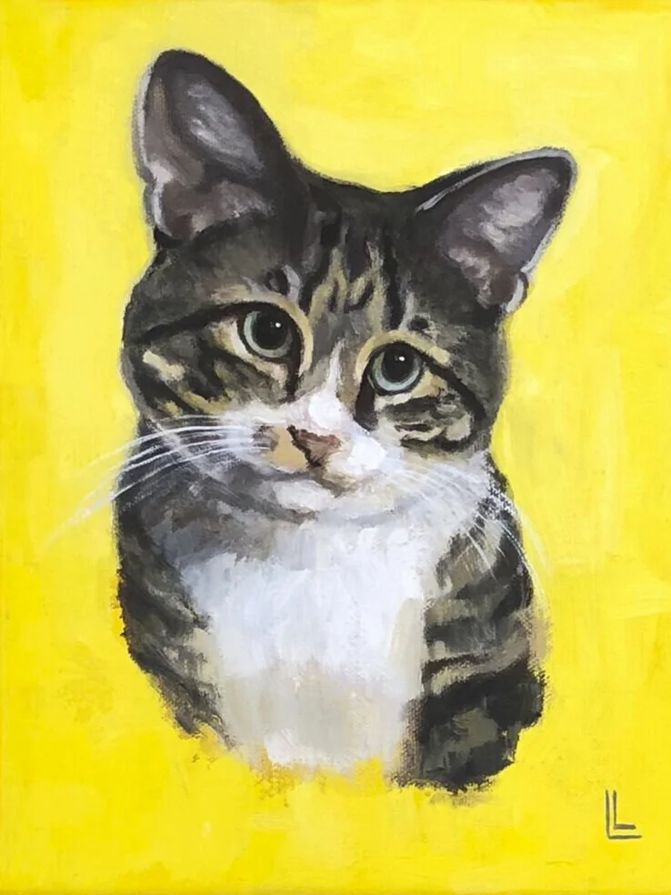 Pet Portraits