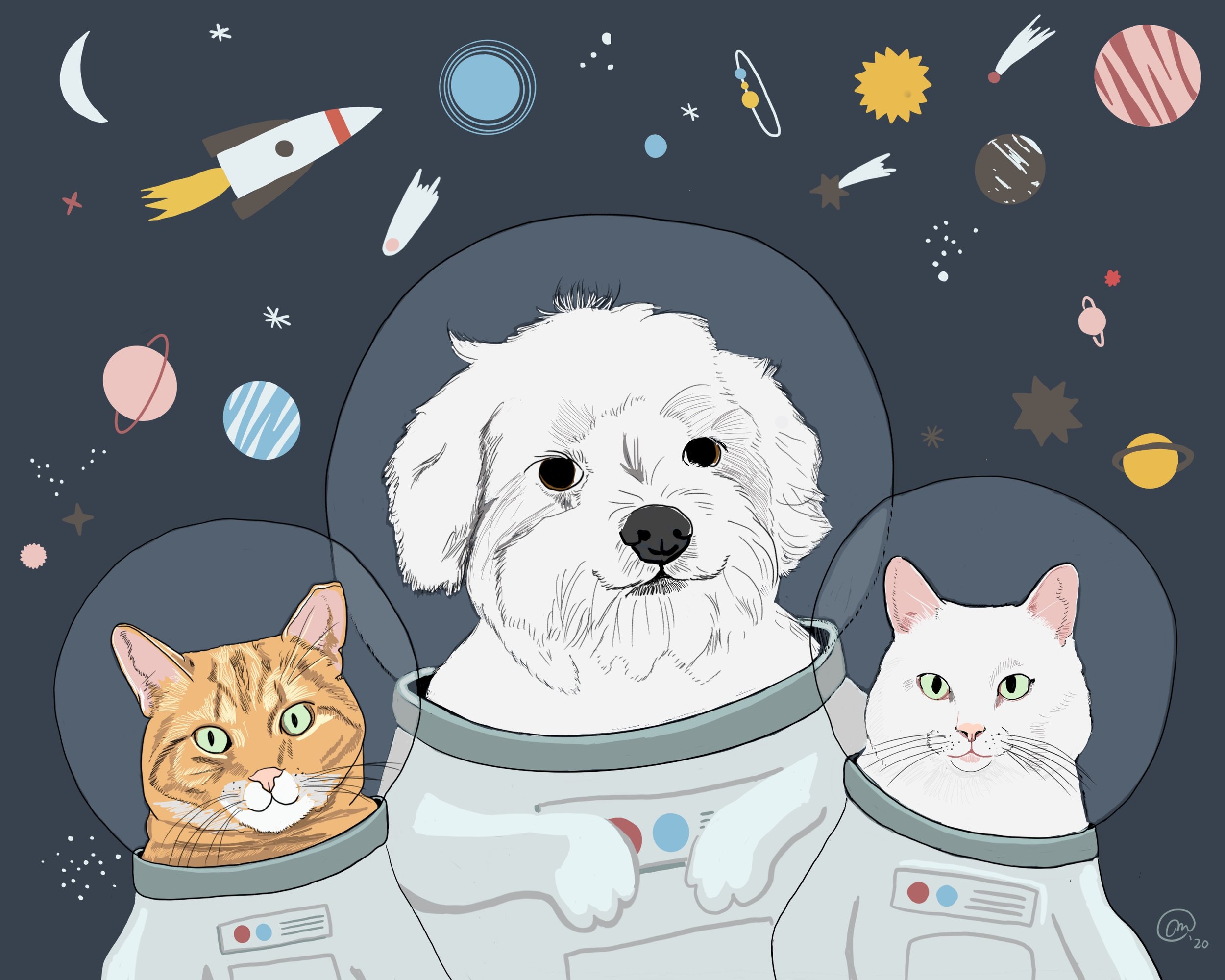 Space-Pets.JPG