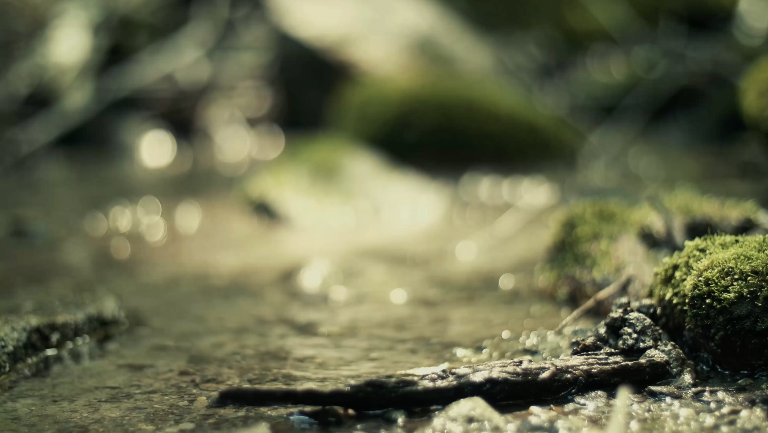 Mountain Creek_still.png