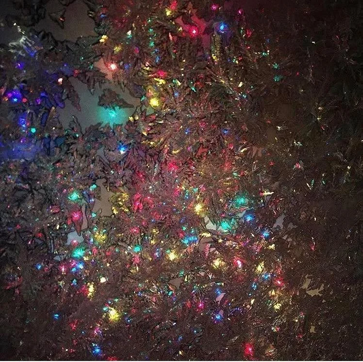 We've still got a few reservations left for our festive New Year's Eve four-course dinner! Join us for a cozy evening of great food and drink with friends and neighbors.  Reservations by phone or on our website. 612-259-8943