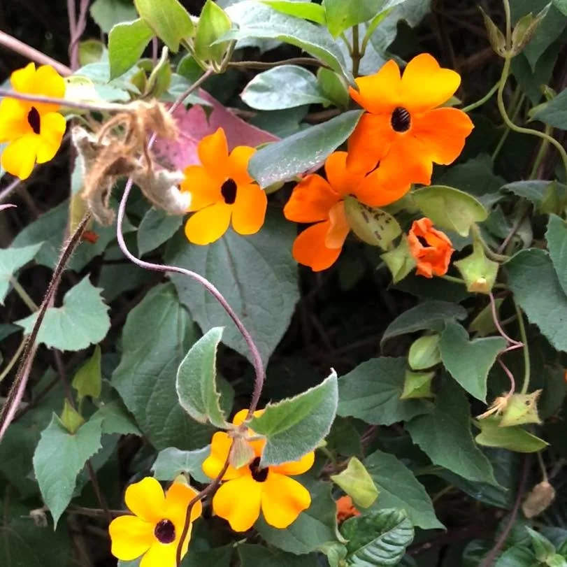 Thank you to everyone who stopped in these past few weeks. It meant a lot to us. As things settle back in to a more normal late-winter rhythm, it&rsquo;s grown a bit quieter. We&rsquo;d love to see you if you&rsquo;re thinking about getting out befor