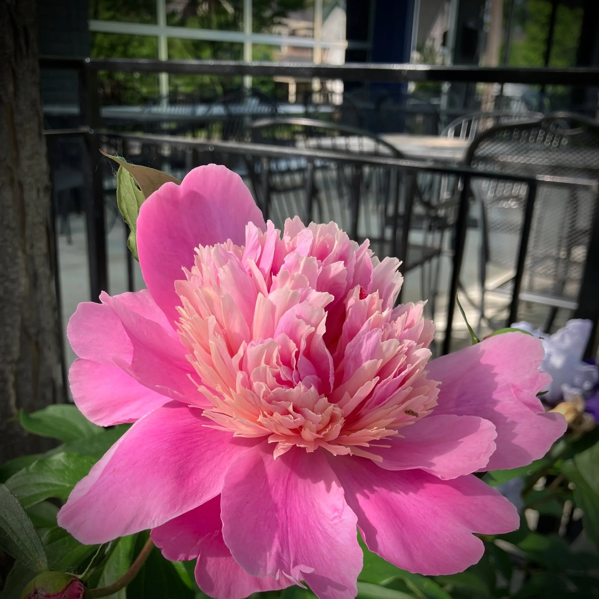 Trends change. What seems to endure is the simple pleasure of being welcomed, sharing a meal, and spending an evening where hospitality matters. Make a reservation and we'll have a table waiting for you.