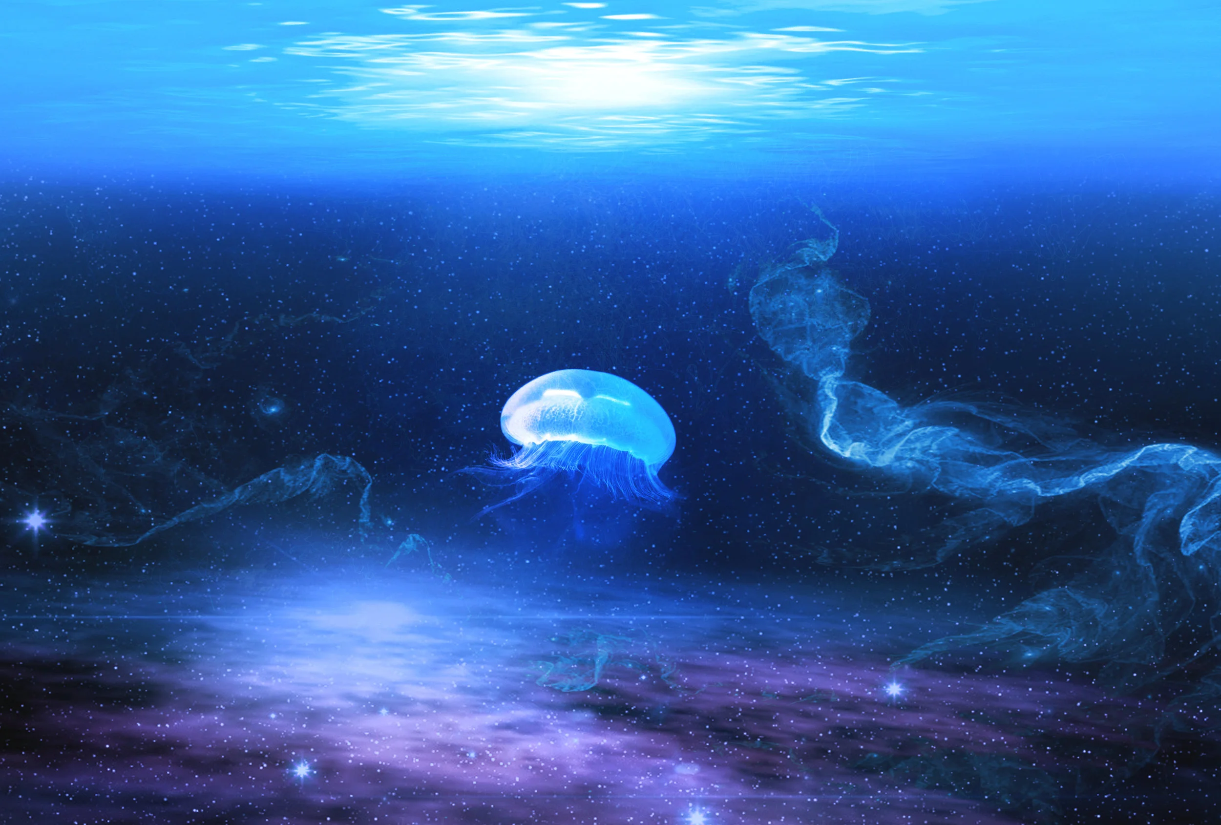 aquaticambience-export-01.jpg