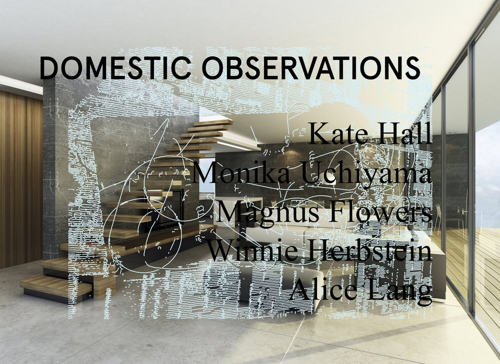 domestic+observations+poster+.jpg
