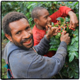 Coffee farmers in PNG