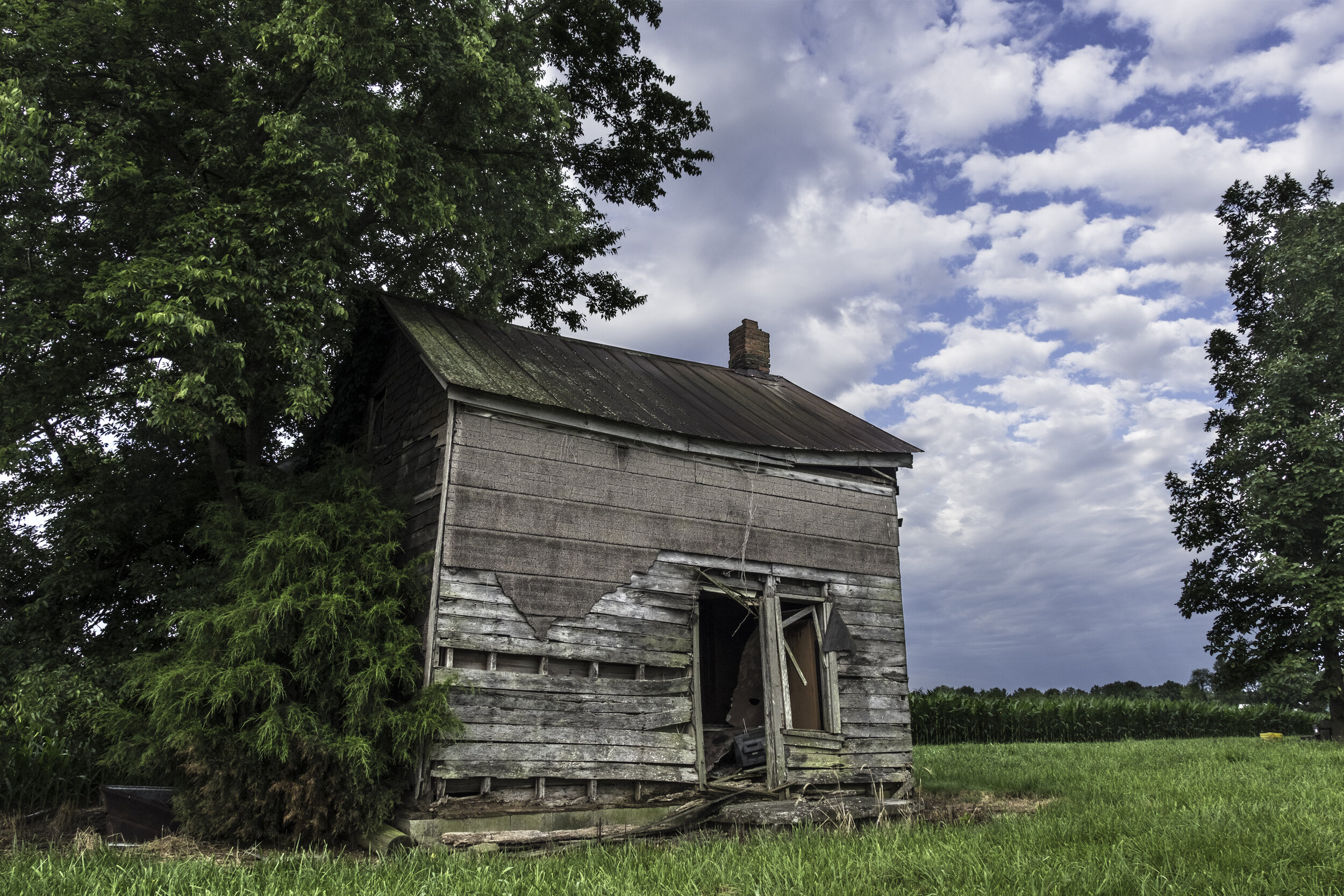 Robertson County Tennessee-1319-2.jpg