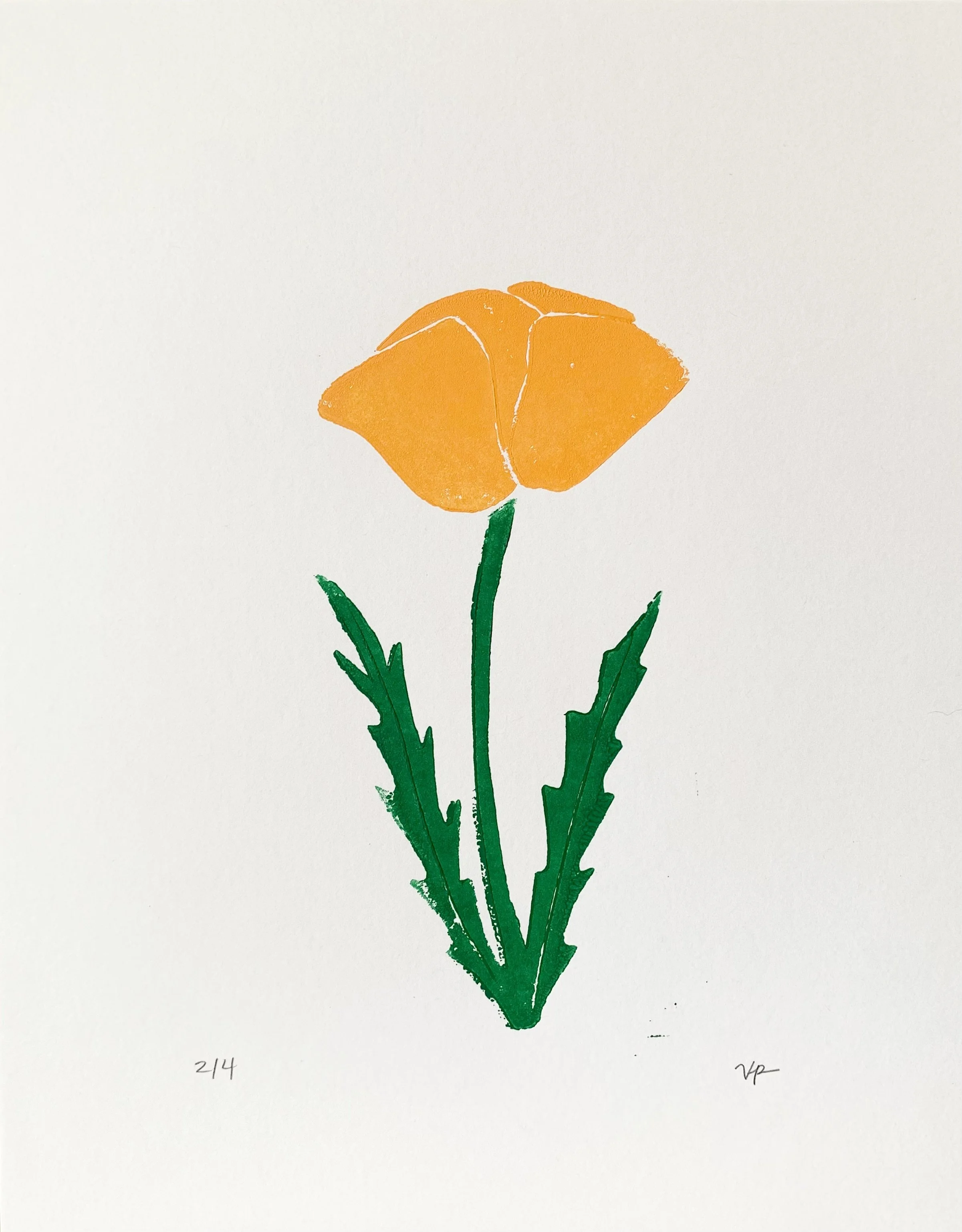 Poppy_Dark Yellow.JPG