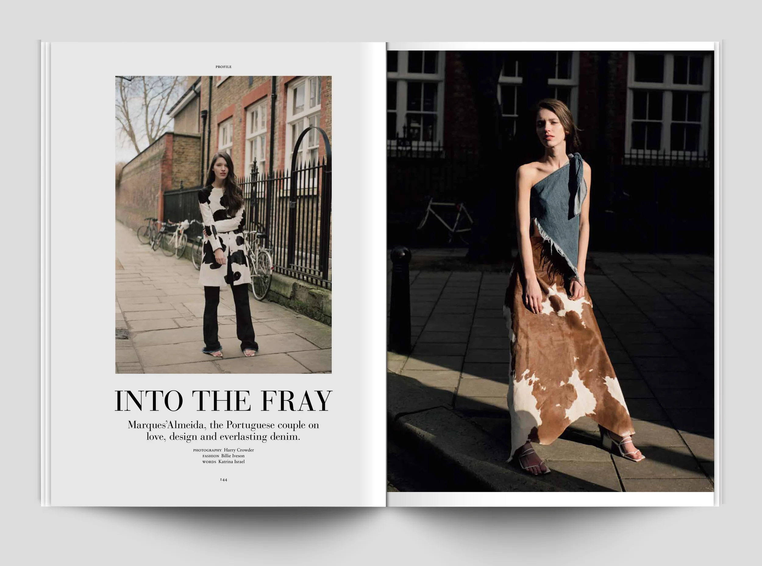 Into the Fray 01.jpg