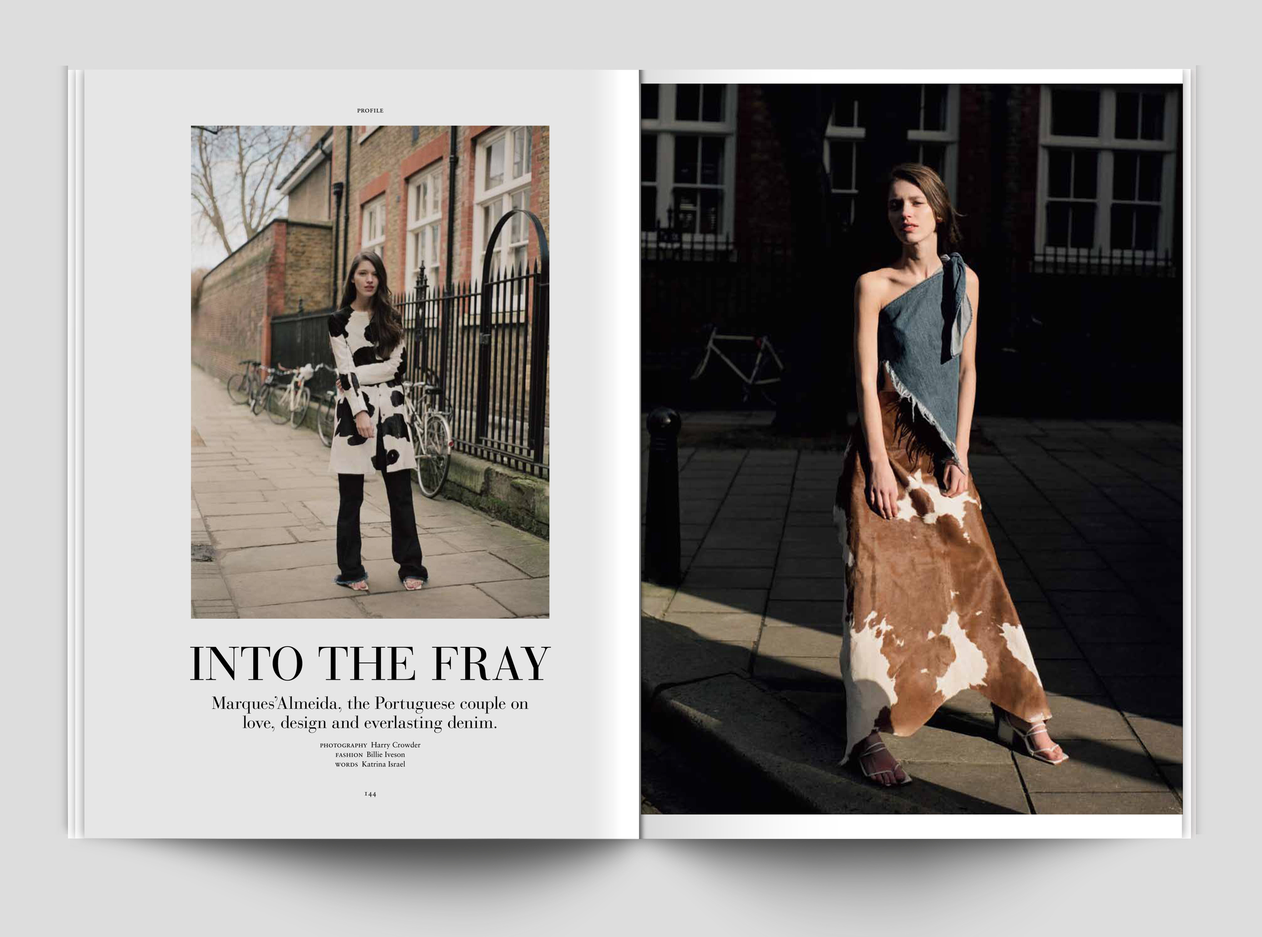 Into the Fray 01.jpg