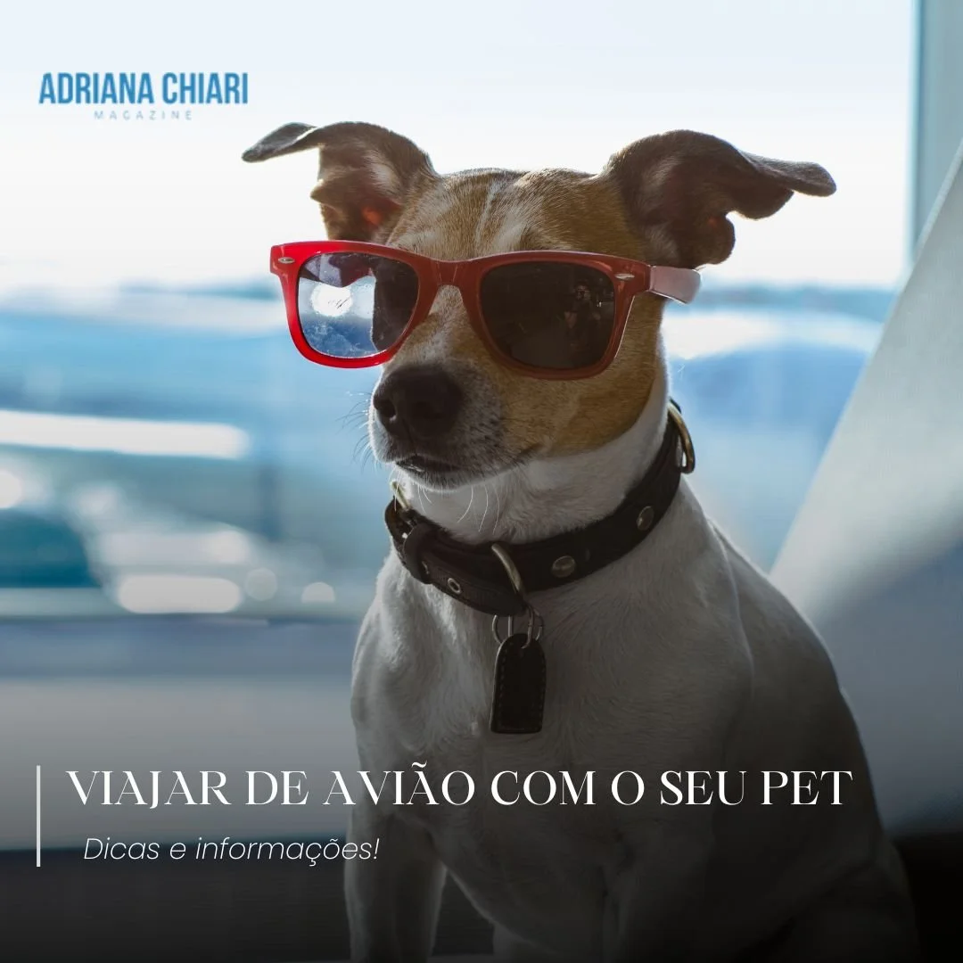 Viajar de avião com o cachorro: dicas e informações!