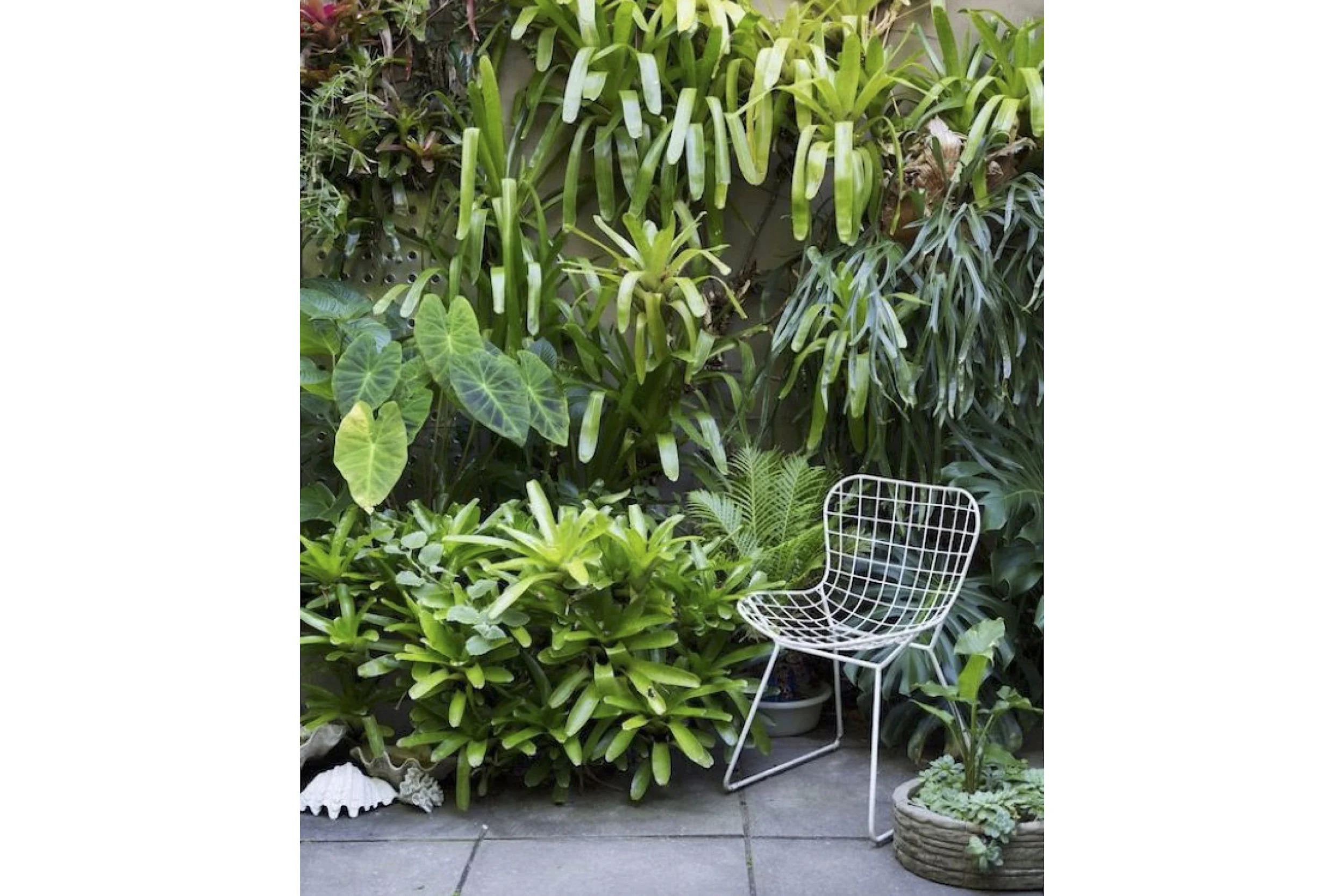 Studio AKJ Garden 2