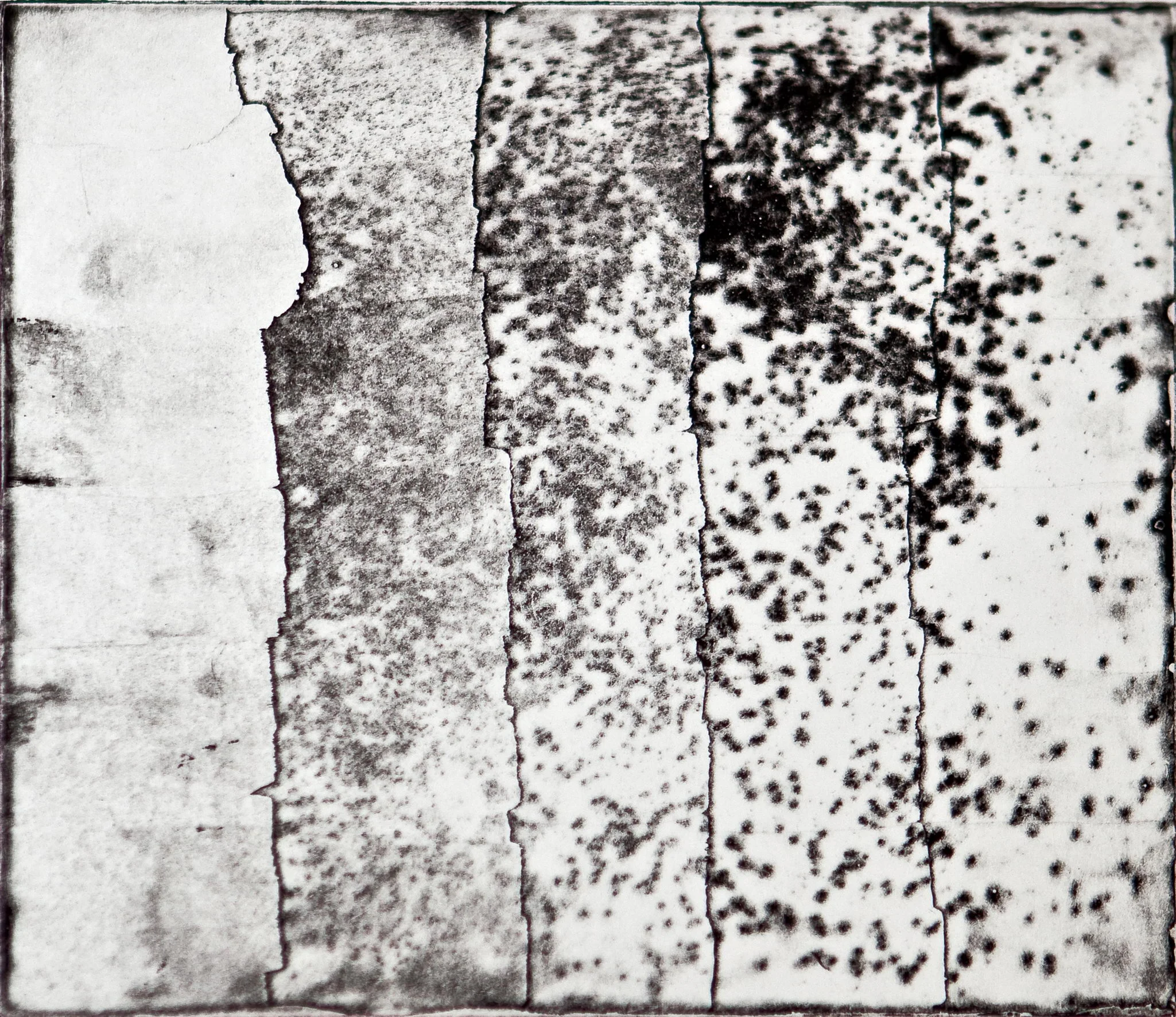 Sprinkling , 2015, Copper Plate Etching, 20 x 17cm