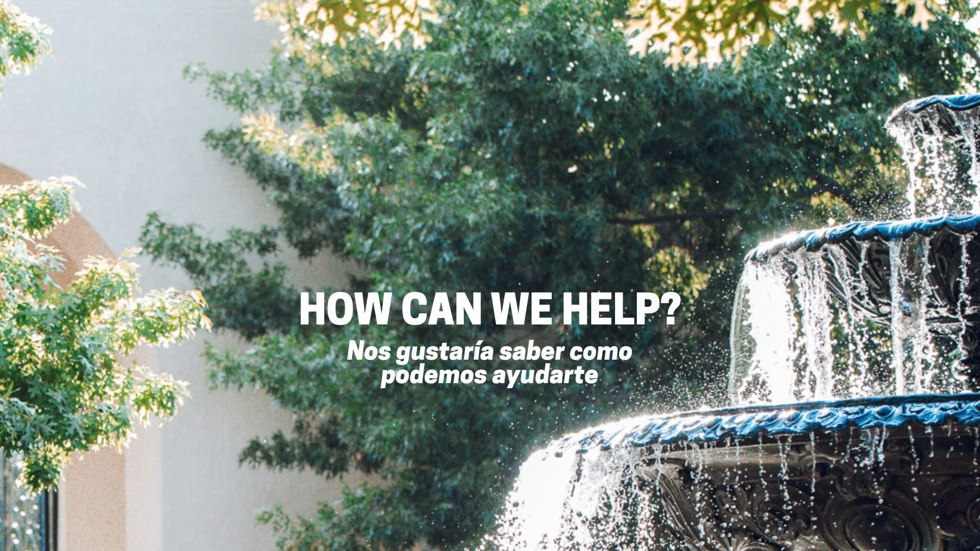 HSM Mailchimp 25-26 (1).jpg