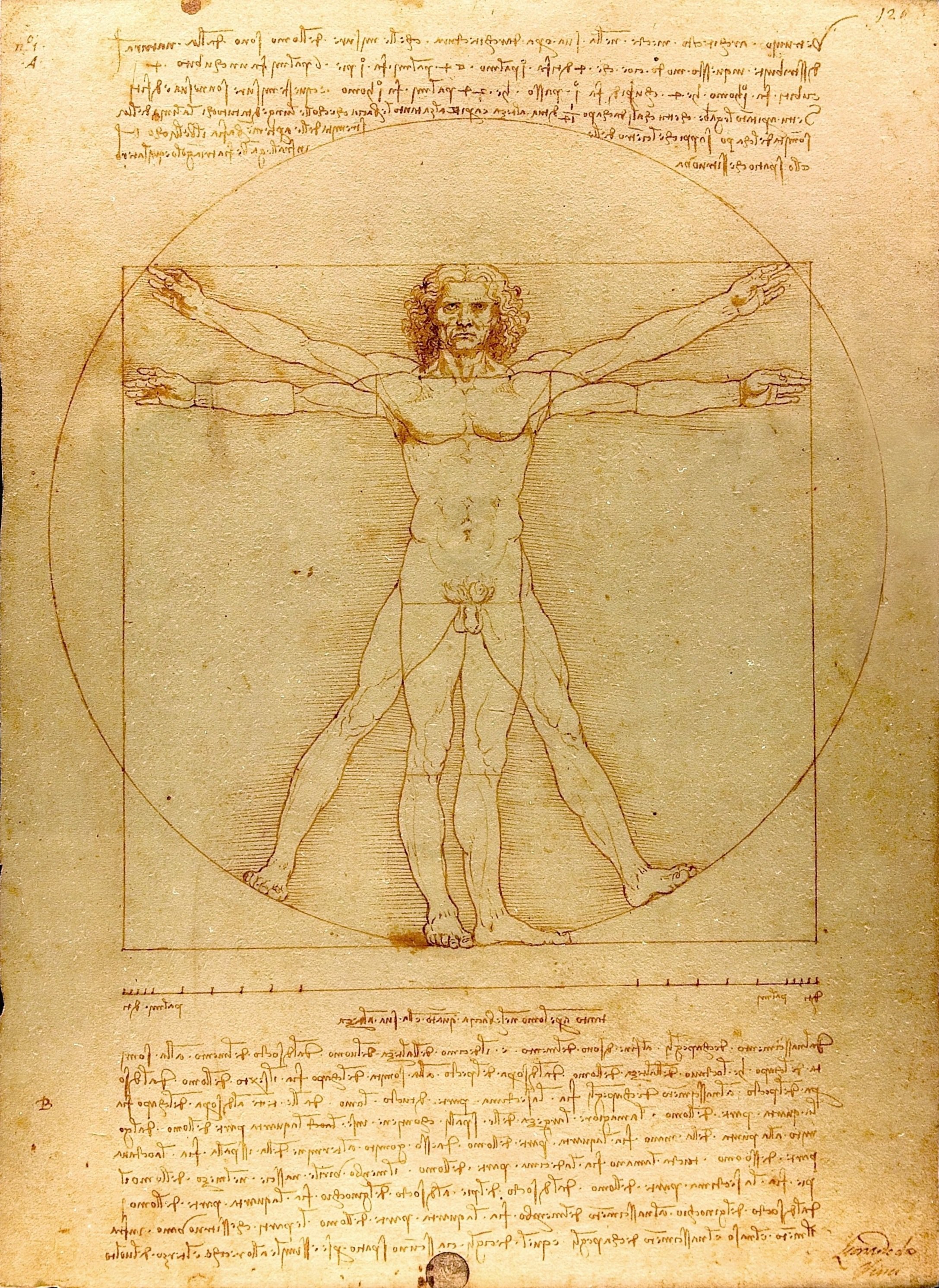 The original Vitruvian Man by Da Vinci