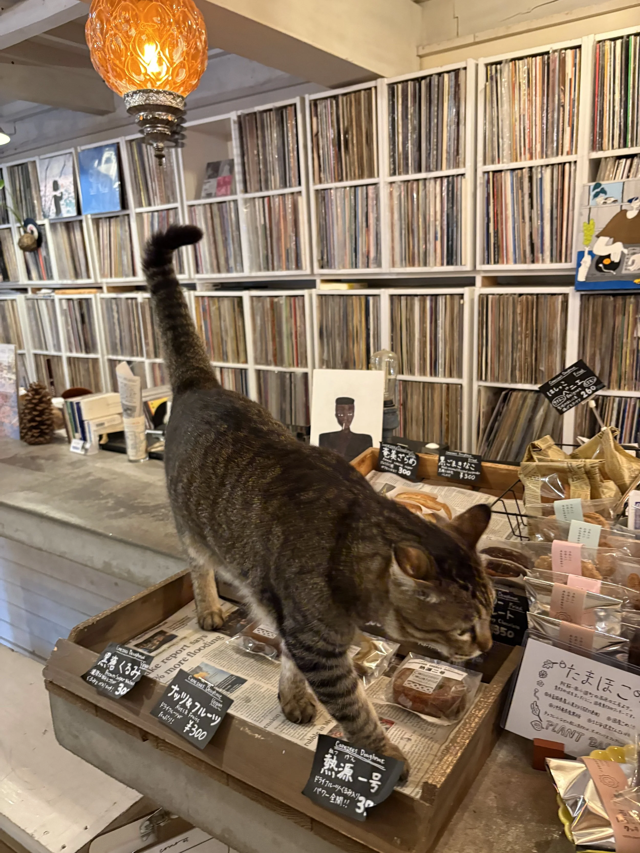 the sabukaru Guide to Fukuoka: