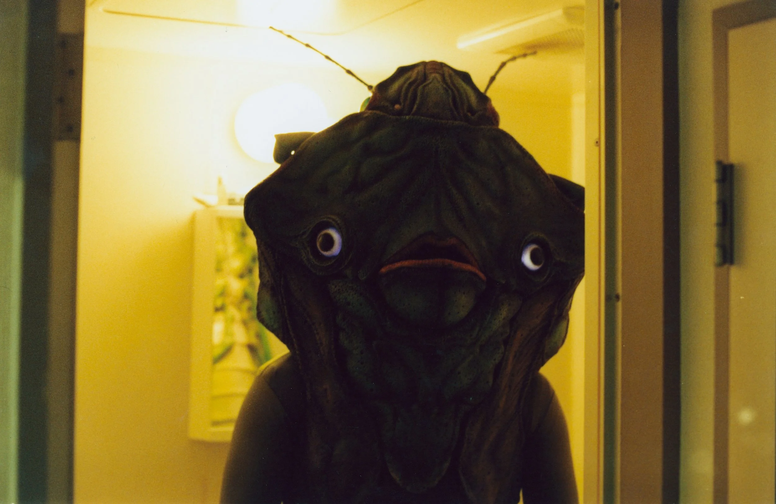 7_Mushio_LlunaFalgas.jpg
