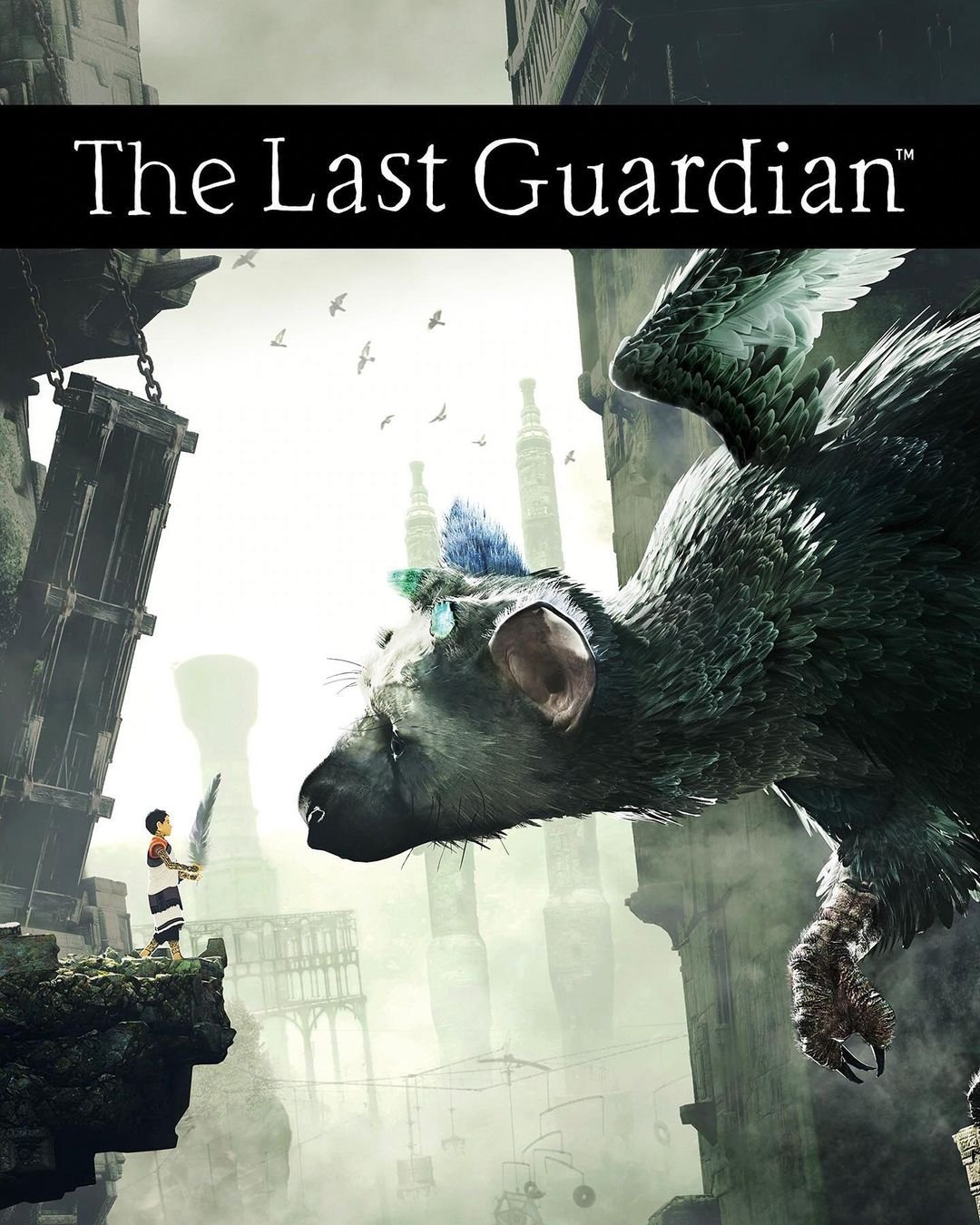 The Last Guardian and the Fruits of Patience