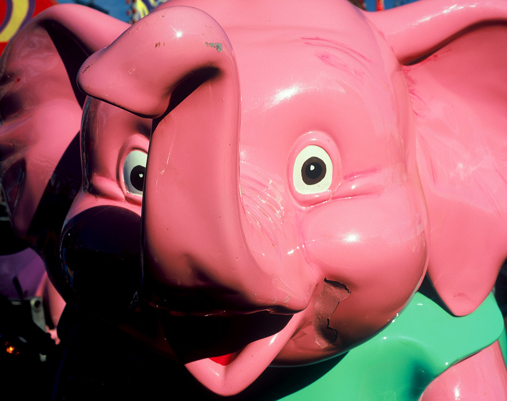 Pink Elephant Buddy