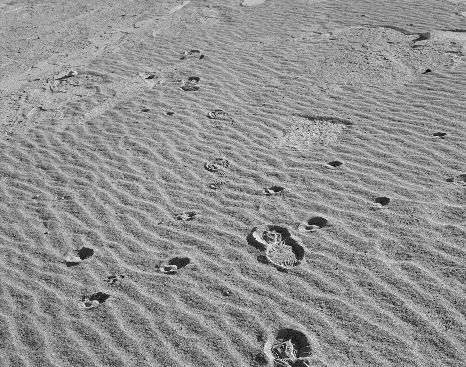 Tracks in Tailings