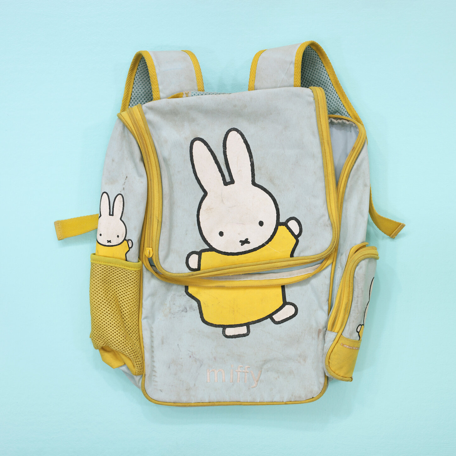 Miffy, Aqua, 2019