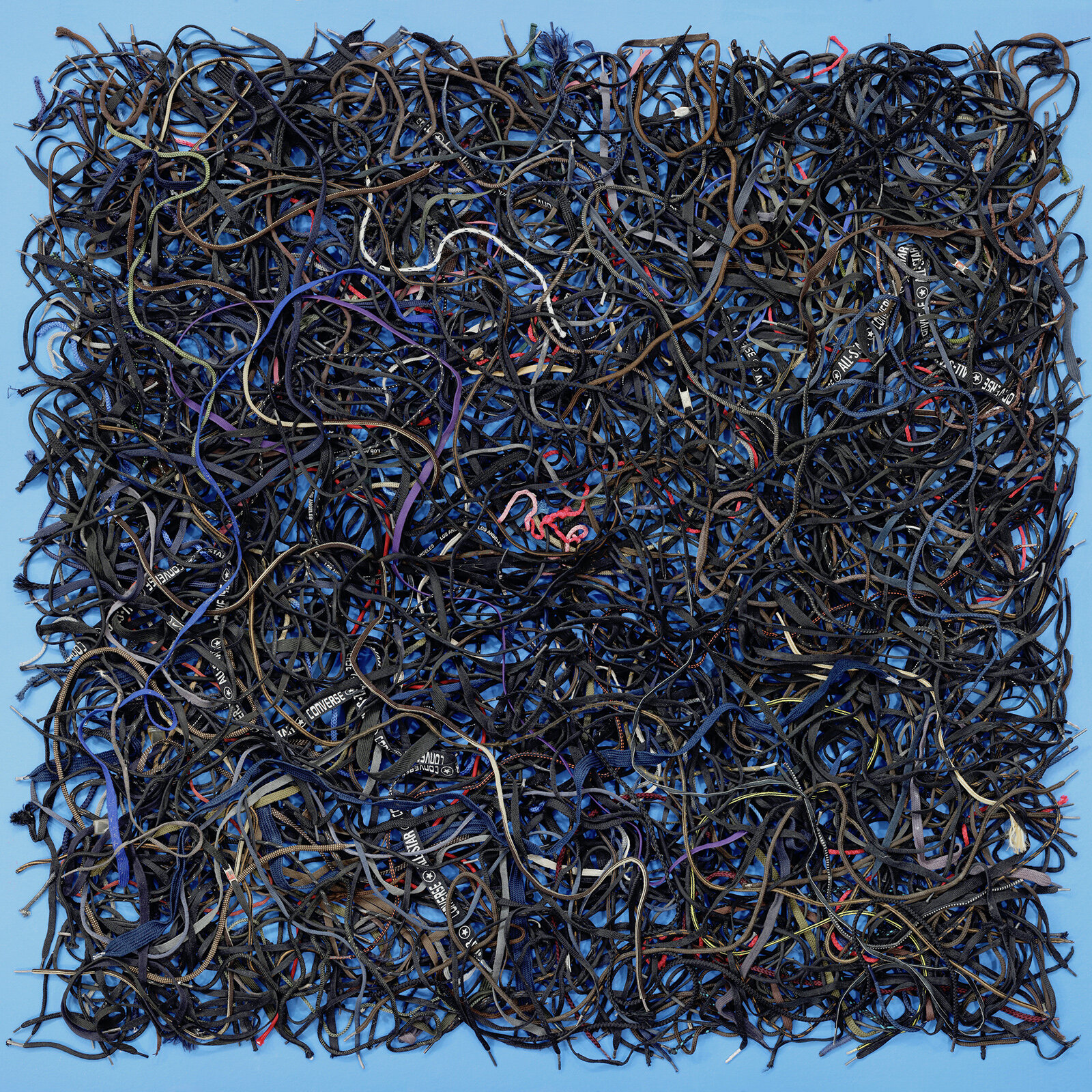 Shoelaces, Blue, 2016