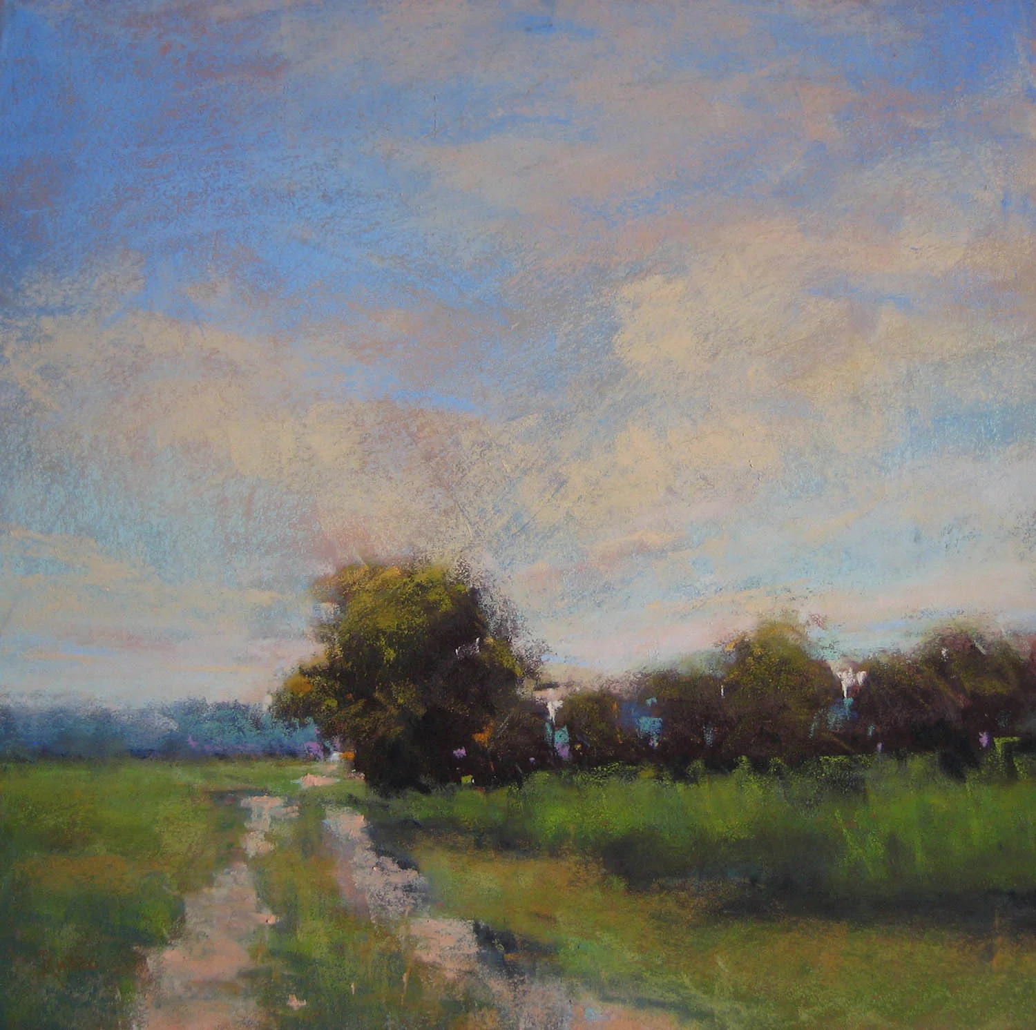 The Back Road