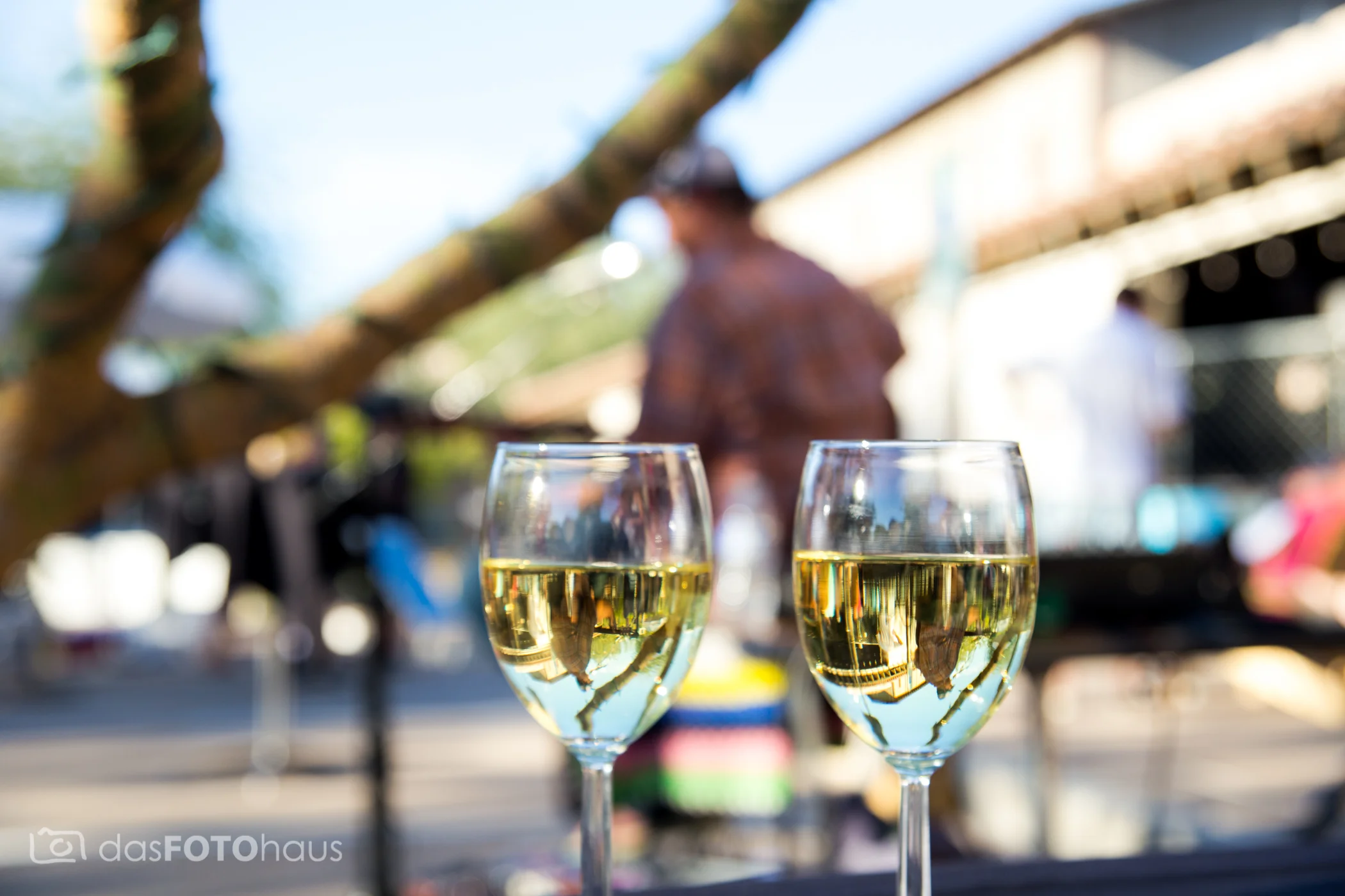 2017 Corks and Collars-60.jpg