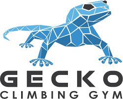 gecko_climbing.png