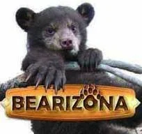 bearizona.jpeg