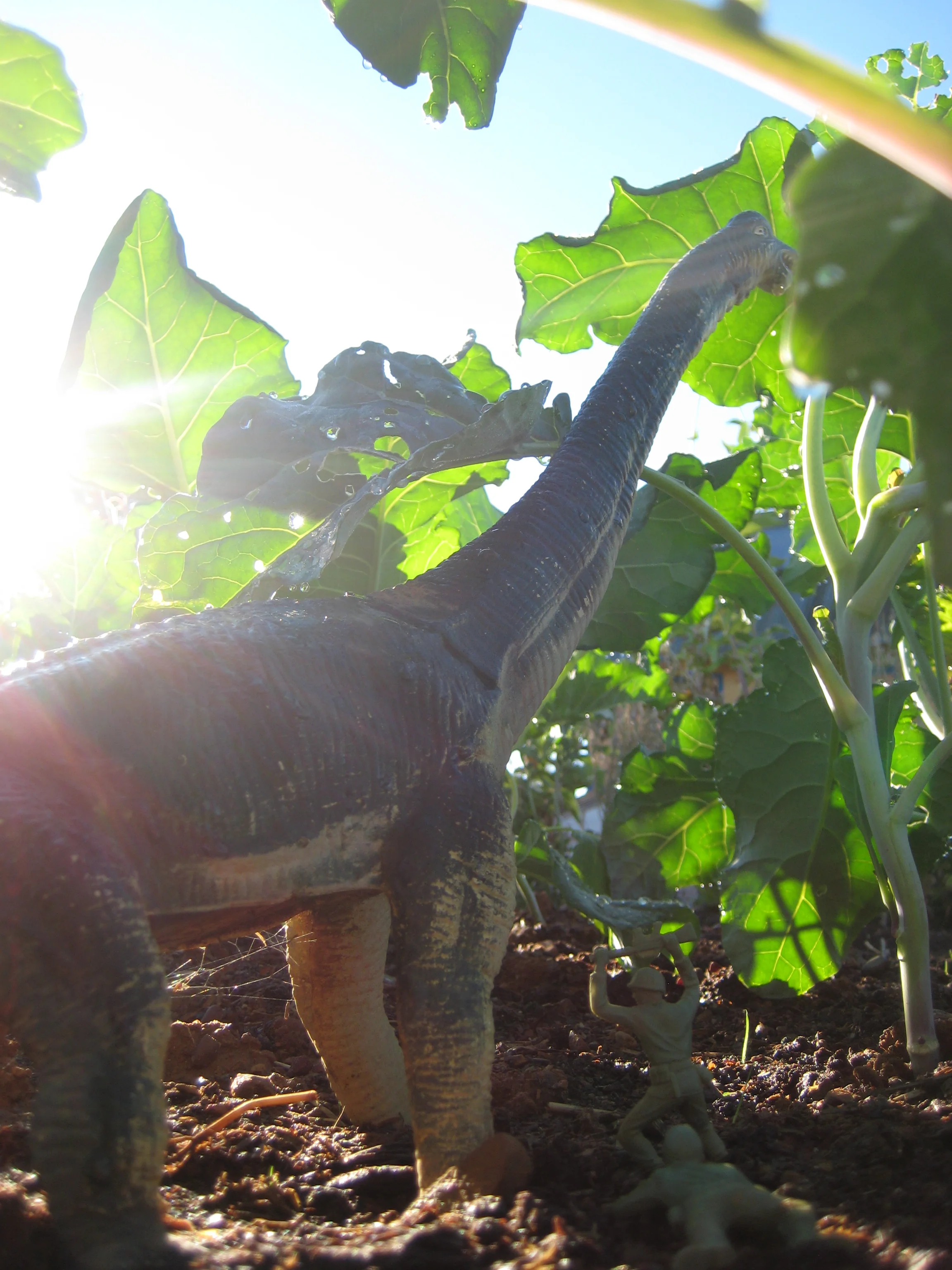 Guard brontosaurus!