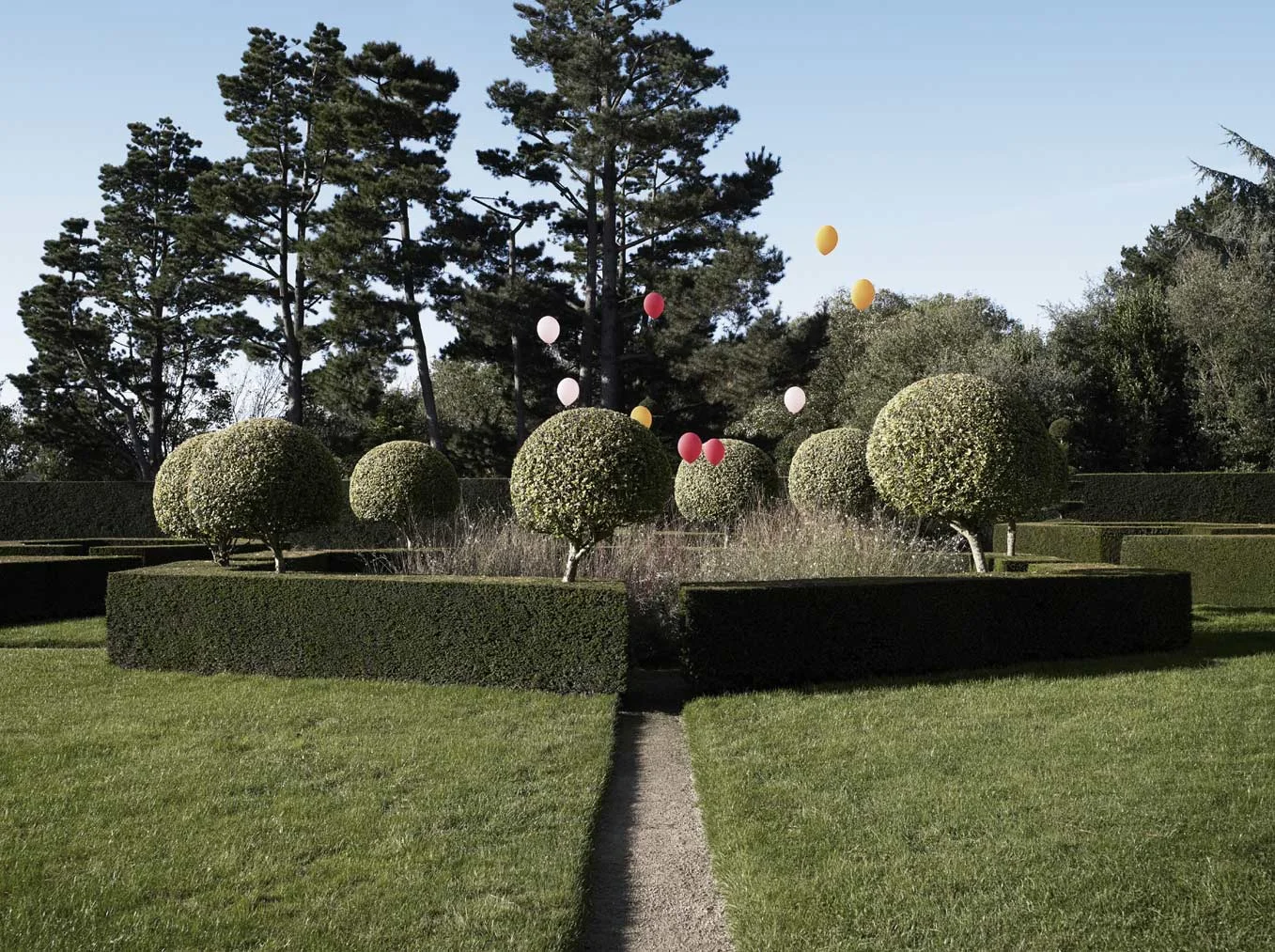The little forest - France 2015