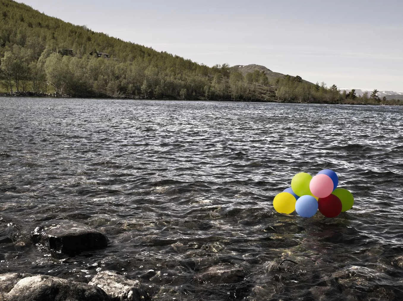 Lemon lake - Norway 2009