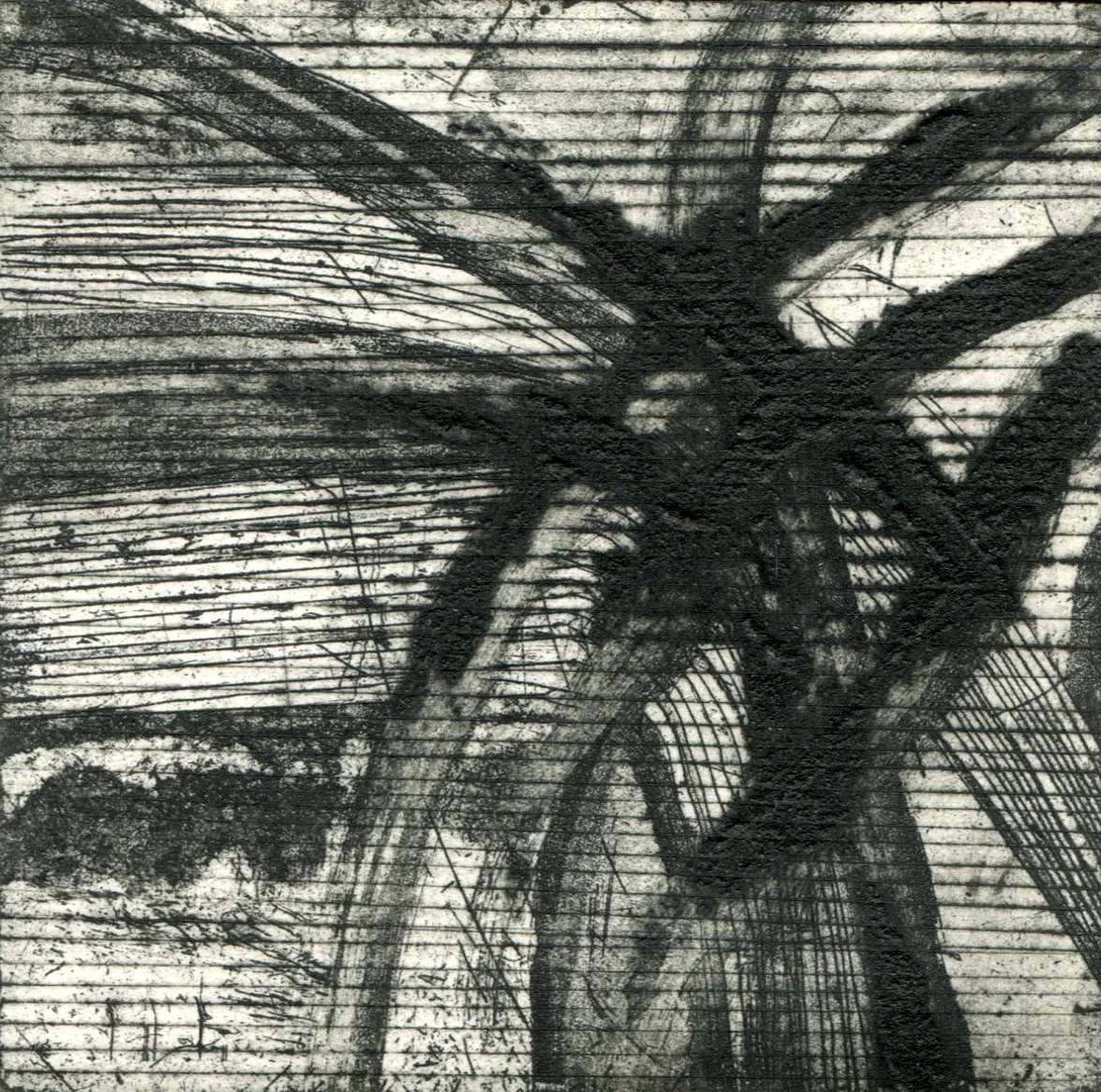 Lines in the Landscape 2