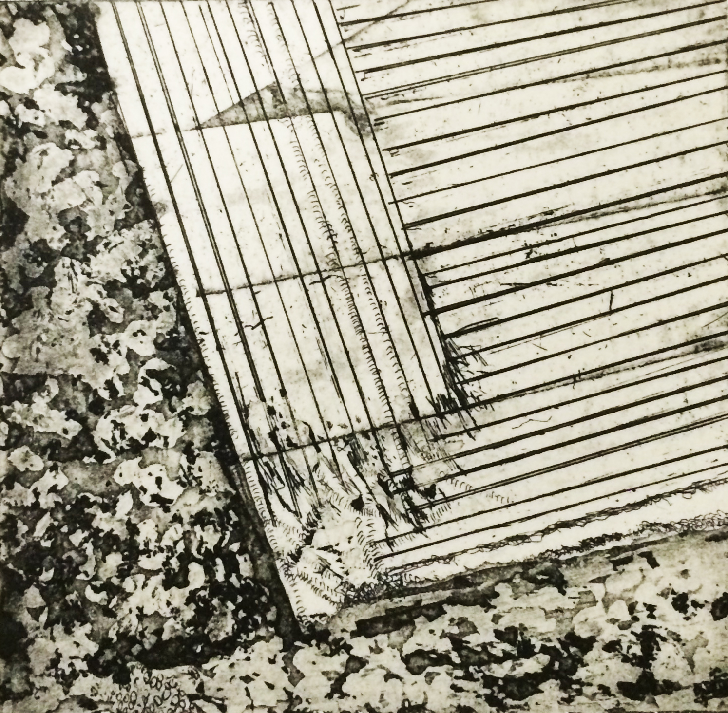 Lines in the Landscape 3
